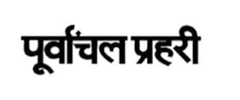 The collection's logo